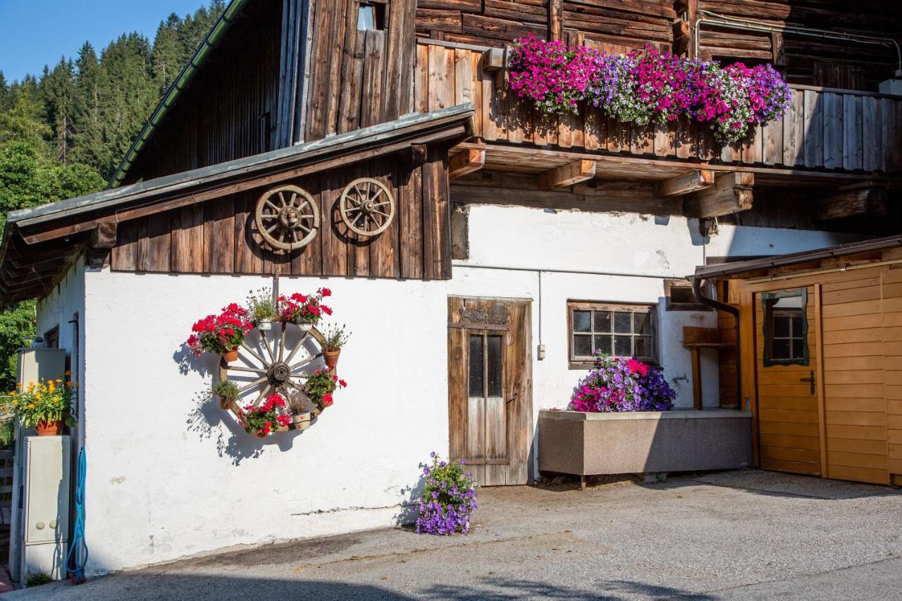 람자우 암 다흐스타인 Bio-Bauernhof Grundlehnerhof 게스트하우스 외부 사진