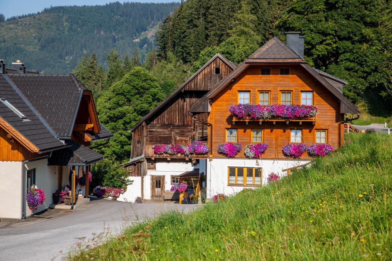 람자우 암 다흐스타인 Bio-Bauernhof Grundlehnerhof 게스트하우스 외부 사진